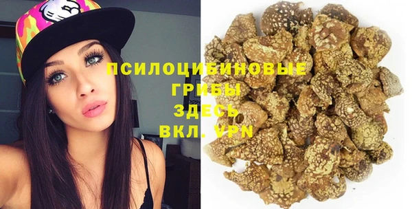 крисы Ладушкин