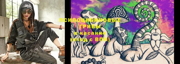 2c-b Лагань