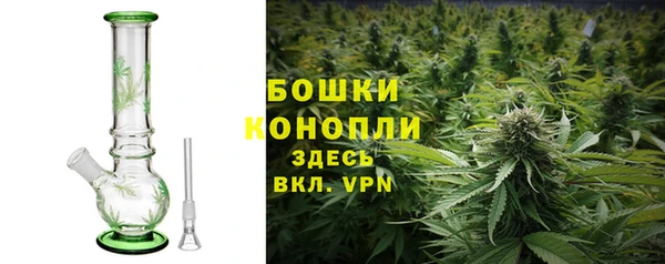 2c-b Лагань