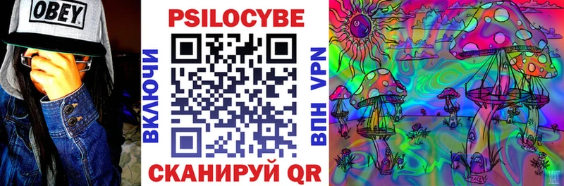 где купить наркоту  Орск  Псилоцибиновые грибы мухоморы 